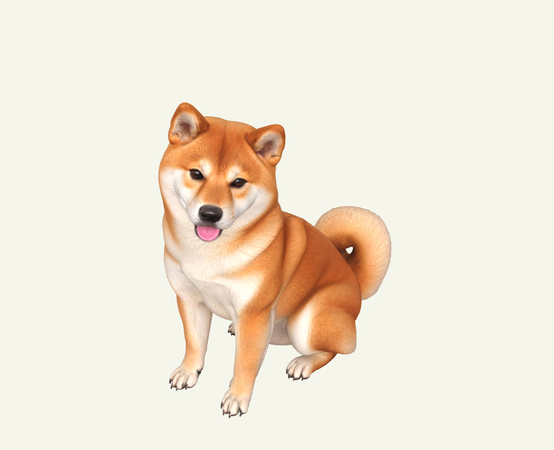 柴犬（坐姿）